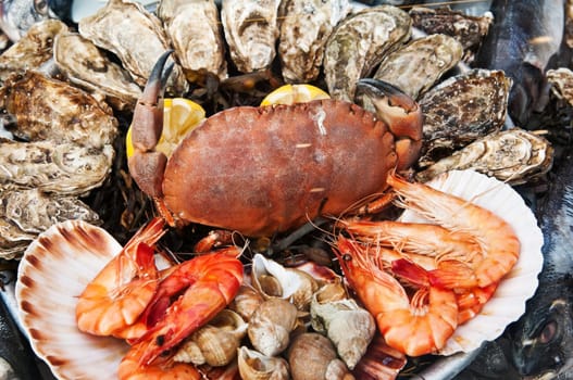 Seafood