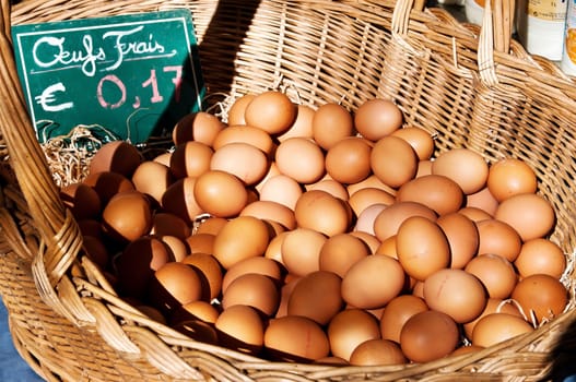 Egg