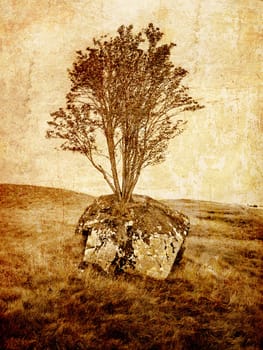 Grunge tree