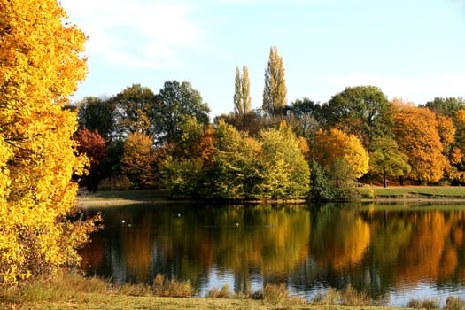Autumn magic