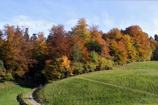 Path to autumn