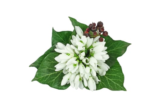 A little bouquet of snowdrops with ivy leaves isolated on white