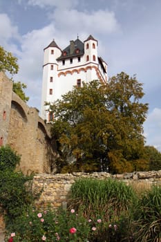 Rheingau Eltville - Crass Castle