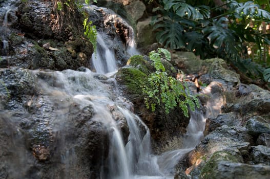 Water fall close up view with plants