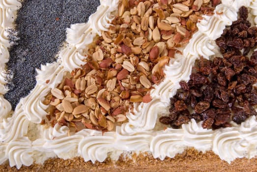 cake closeup with berry isolated on a white