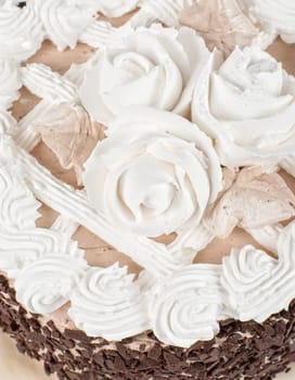 chocolate cake closeup isolated on a white