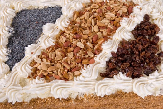 cake closeup with berry isolated on a white