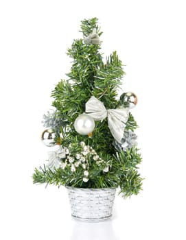 Christmas firtree isolated on a white background