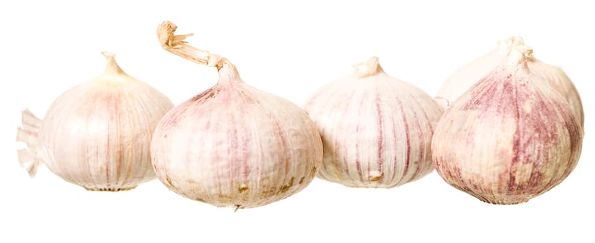 Bunch of  Garlic isolated on white Background
