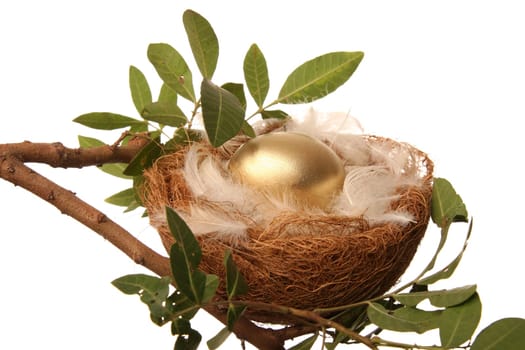 Golden egg in a nest with white feathers - conceptual retirement metaphor