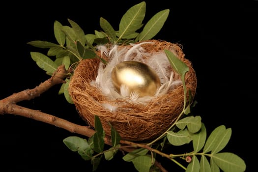 Golden egg in a nest with white feathers - conceptual