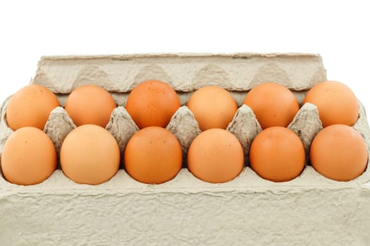 Twelve brown shelled cage free ovals are in a carton isolated on a white background.