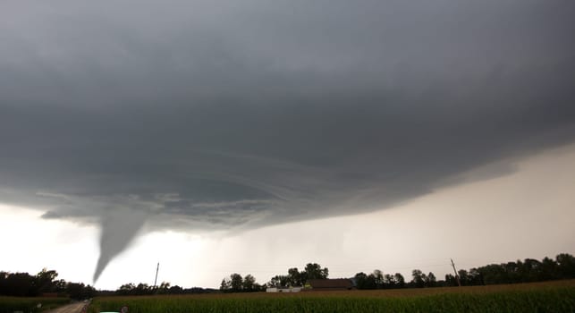 Tornado