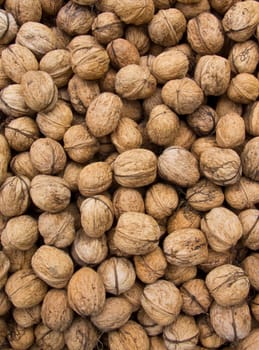 Walnut