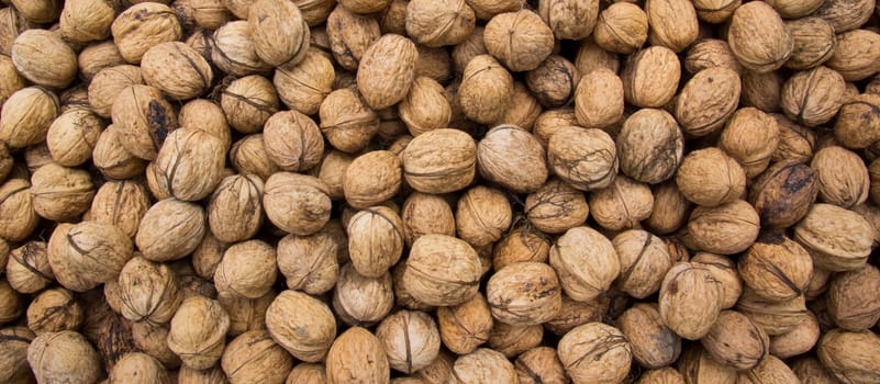 Walnut