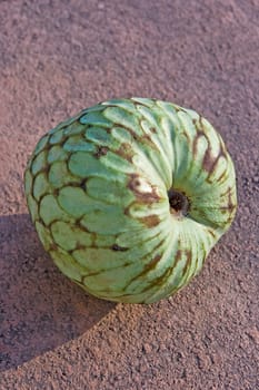 ripe cherimoya