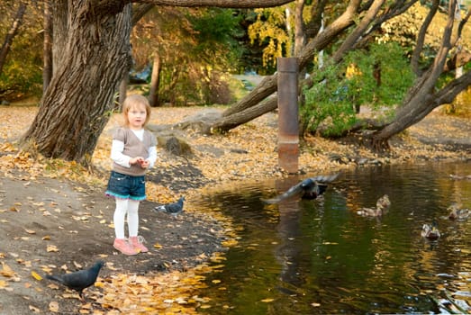 Little girl (3 years) feeding pigeons and ducks near the city park pond. Shallow depth of field