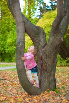Little girl (3 years old) leaned to a tree and is looking up with surprise. Evening in autumn park