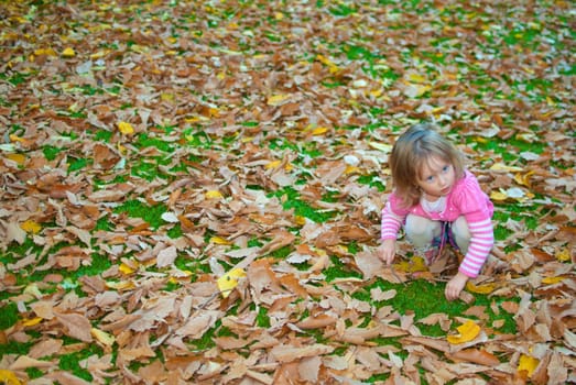 Girl (3 years old) is playing with yellow leaves on the ground. Evening in the autumn park