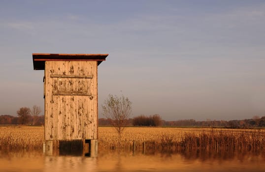 Raised hide