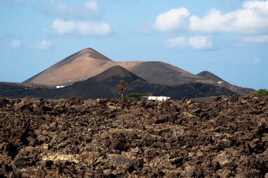 Typical Lanzarote scenery with volcanic soil, palms, white houses and mountains in background - Lanzarote, Canary Islands, Spain