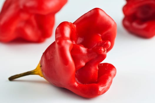 Bell chili