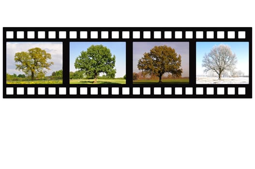 Seasons