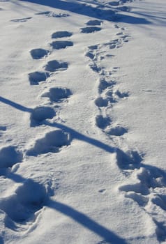 snow