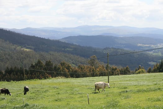Galicia,Spain,at the way of St. James famous european pilgrims way