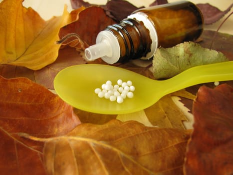 Autumn leaves and homeopathic globules
