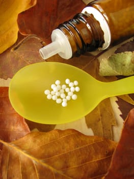 Autumn leaves and homeopathic globules