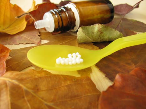 Autumn leaves and homeopathic globules