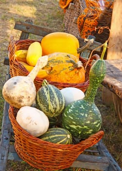 Wicker basket full of decorative gourd