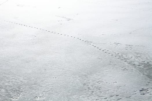 snow