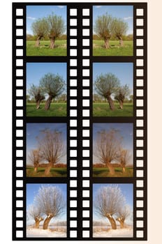 Seasons Filmstrip