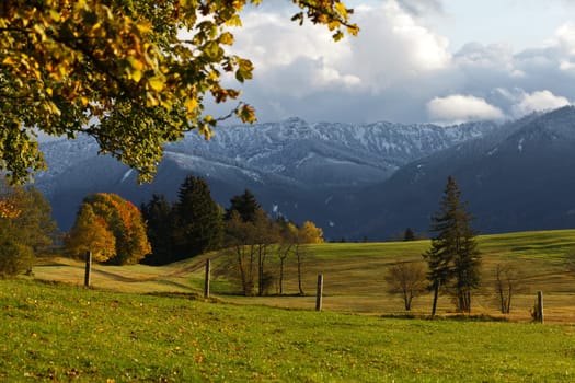 Autumnal mood with snow