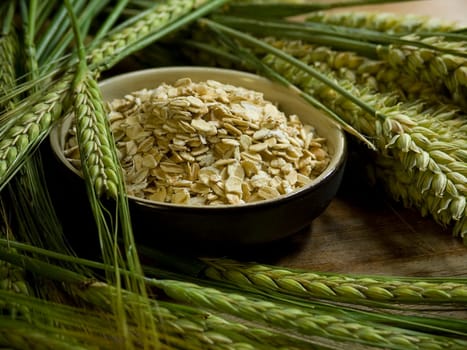 close-up of bowl full of oatmeal