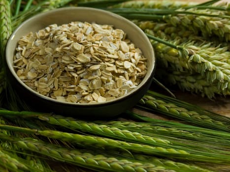 close-up of bowl full of oatmeal