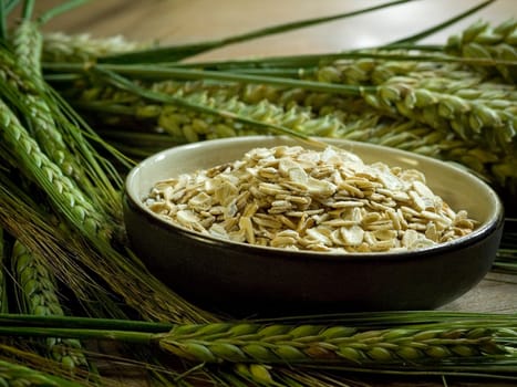 close-up of bowl full of oatmeal