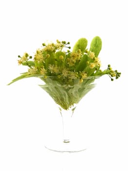 Branch and fruits of lime blossom isolated in a white background