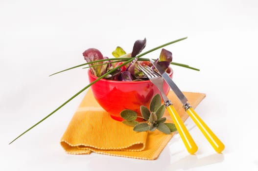 Gemischter Blattsalat mit Paprika, Tomaten und Zwiebeln in roter Schüssel / Mixed leaf salad with peppers, tomatoes and onions in a red bowl