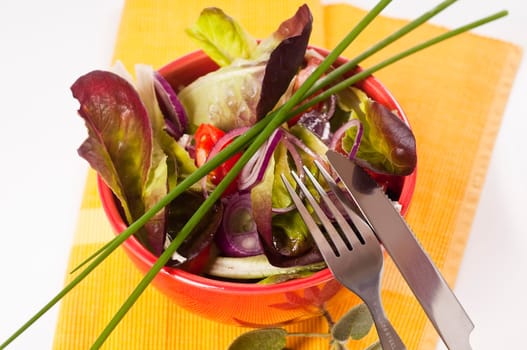 Gemischter Blattsalat mit Paprika, Tomaten und Zwiebeln in roter Schüssel / Mixed leaf salad with peppers, tomatoes and onions in a red bowl
