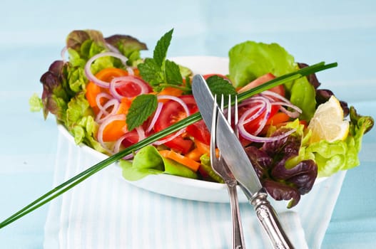 mixed salad with turkey breast on light blue background