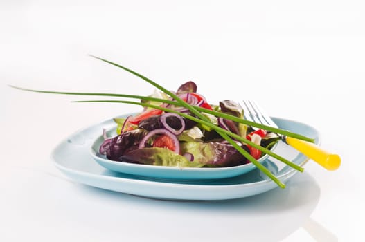 Mixed salad on a light blue plate