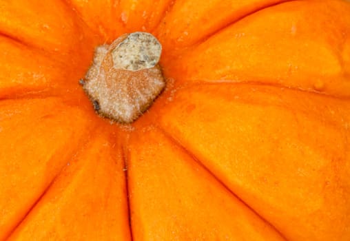 Extreme closeup image of a decorative pumpkin. Can be used as a background