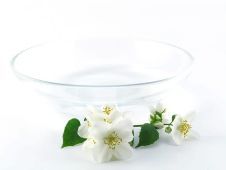 Jasmine