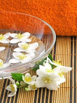Jasmine