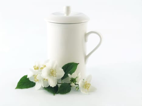 Jasmine