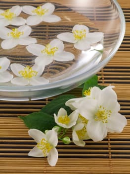 Jasmine