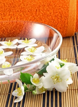 Jasmine